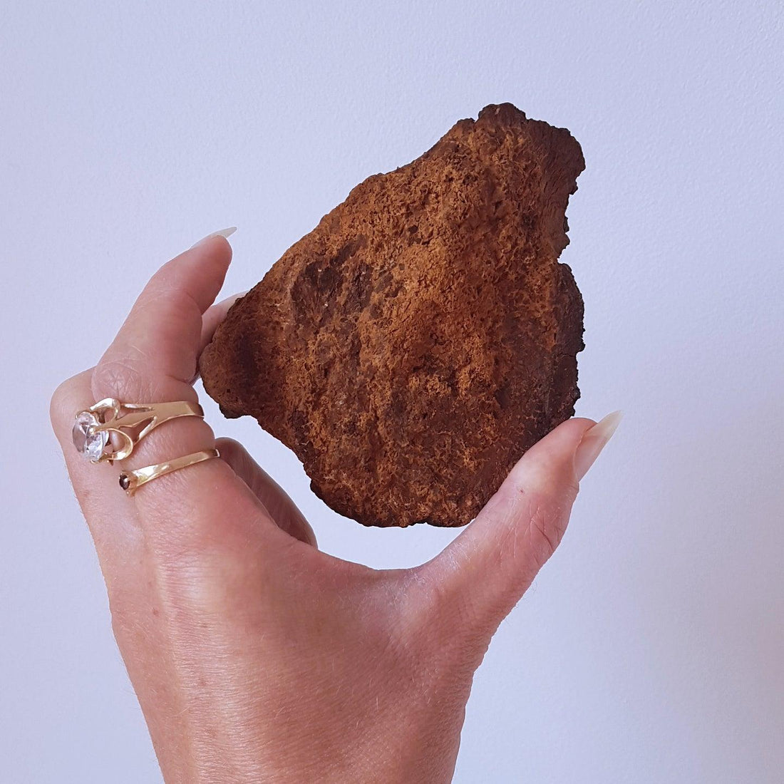 Chaga: medicinale paddenstoel en krachtig adaptogeen - High Vibeology