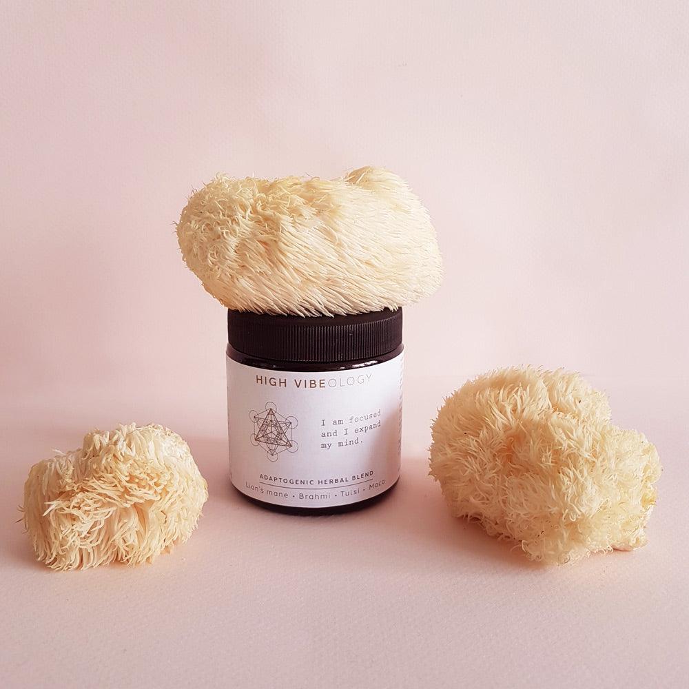 Wat zegt de wetenschap over de werking van Lion's Mane paddenstoel?